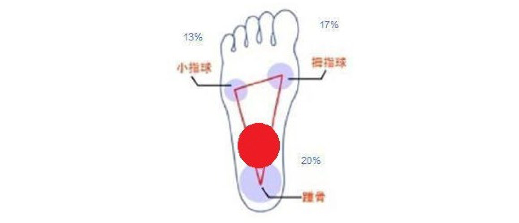 重心・体の使い方・姿勢の評価